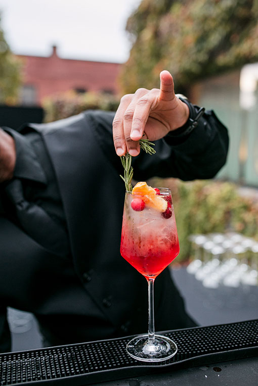 cranberry aperol spritz with rosemary garish