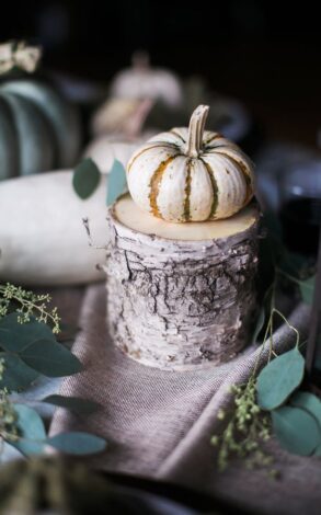 Thanksgiving Table Inspiration, Dream Events & Catering, Jen & Chris Creed (7)