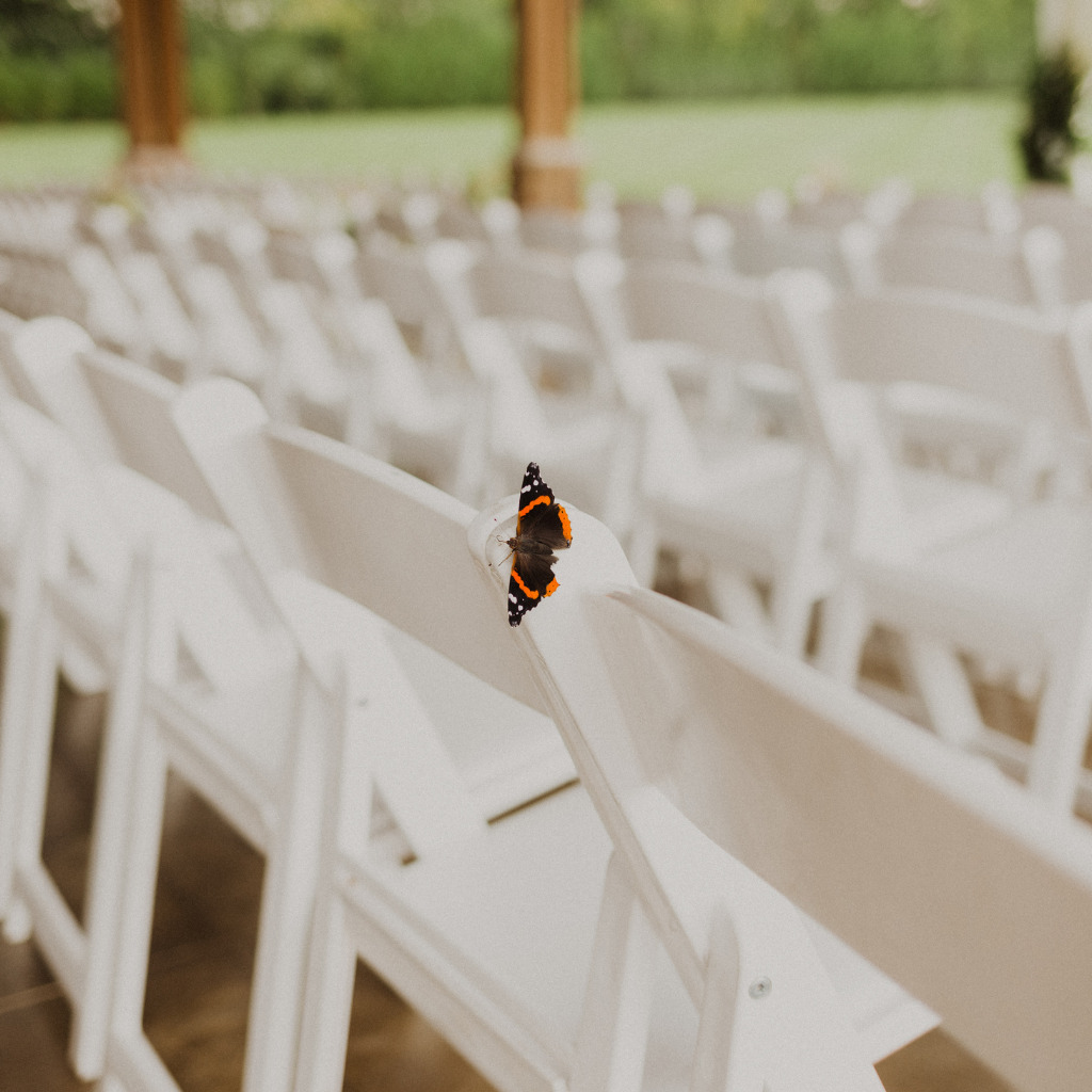 White Wedding Ceremony Chairs With One Butterfly On A Chair