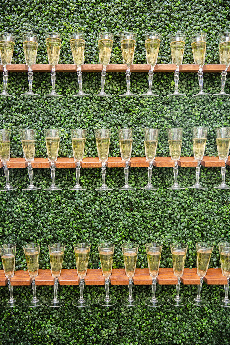 Boxwood greenery wall with champagne glasses