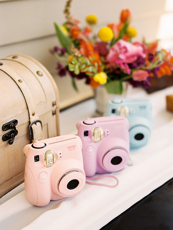 Colorful Polaroid Cameras